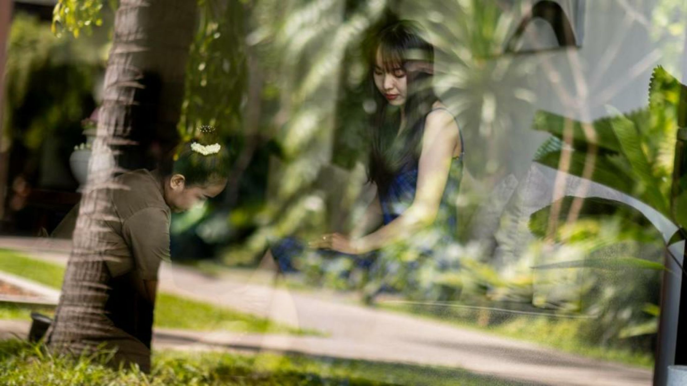 Shintana Saya La Maison