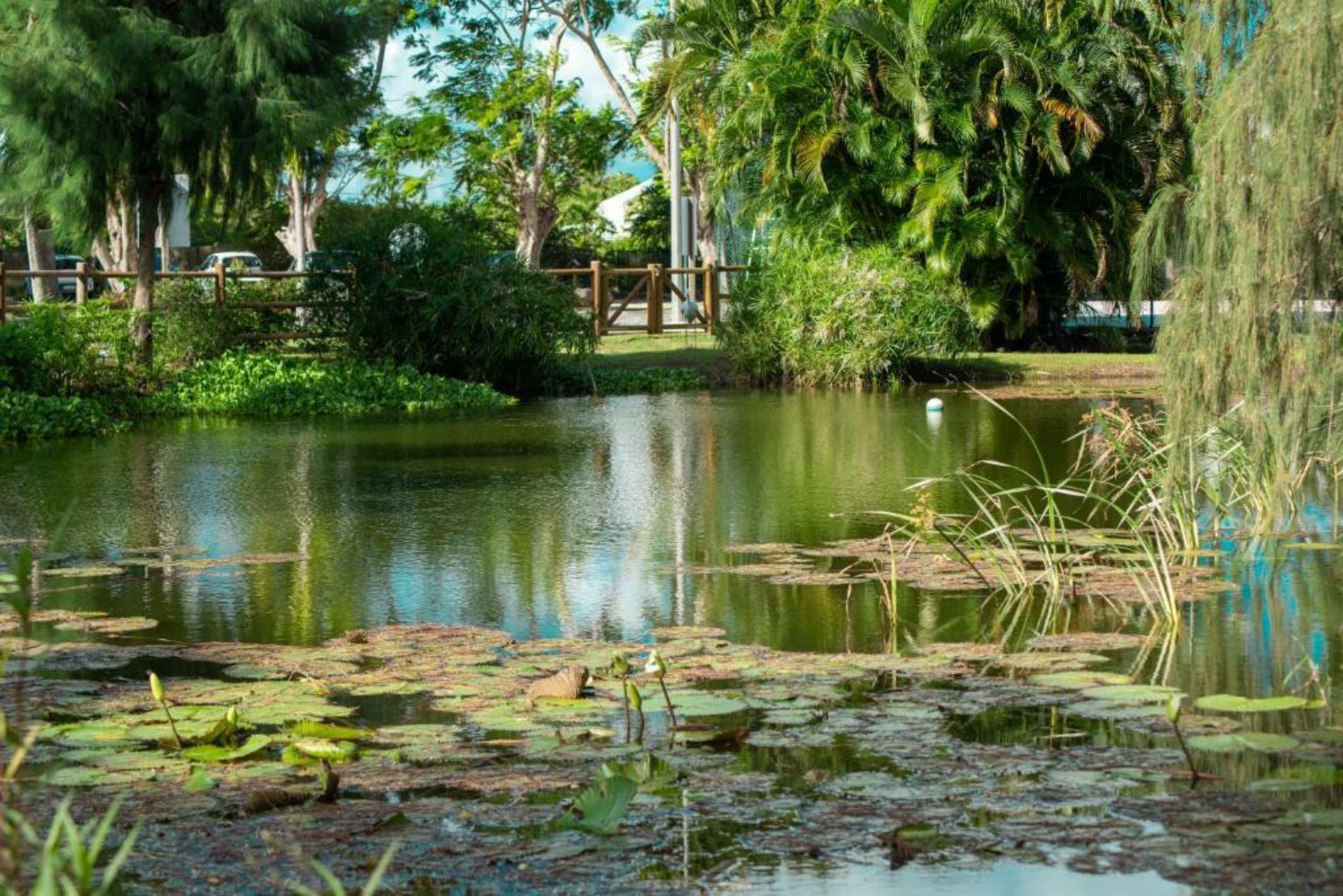 Le Relais du Moulin - Hôtel de Charme & Spa Adult Only