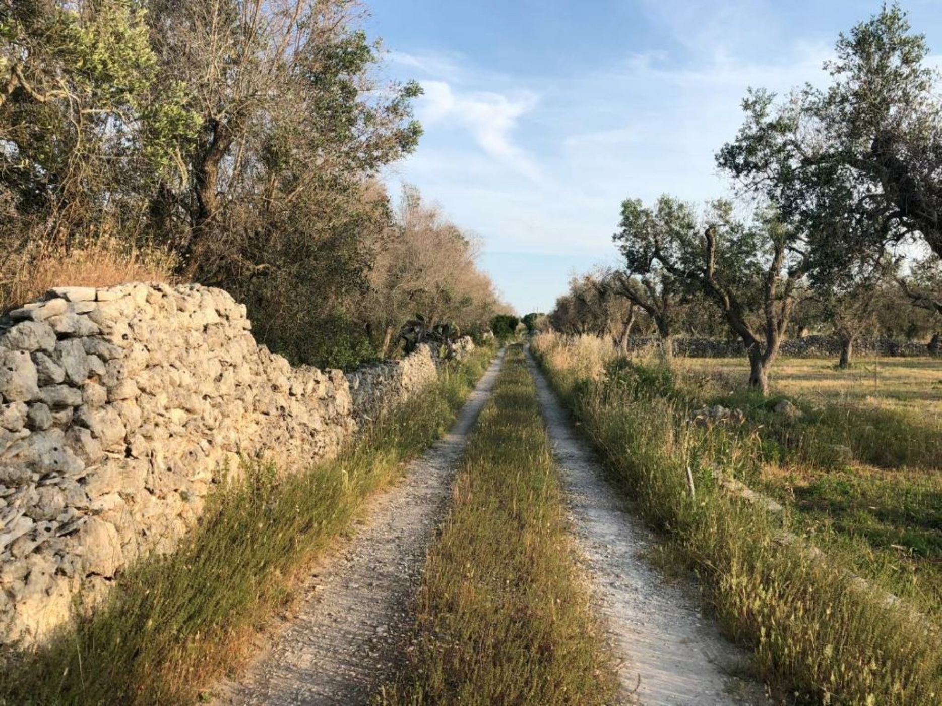 Terecate Experimental Relais