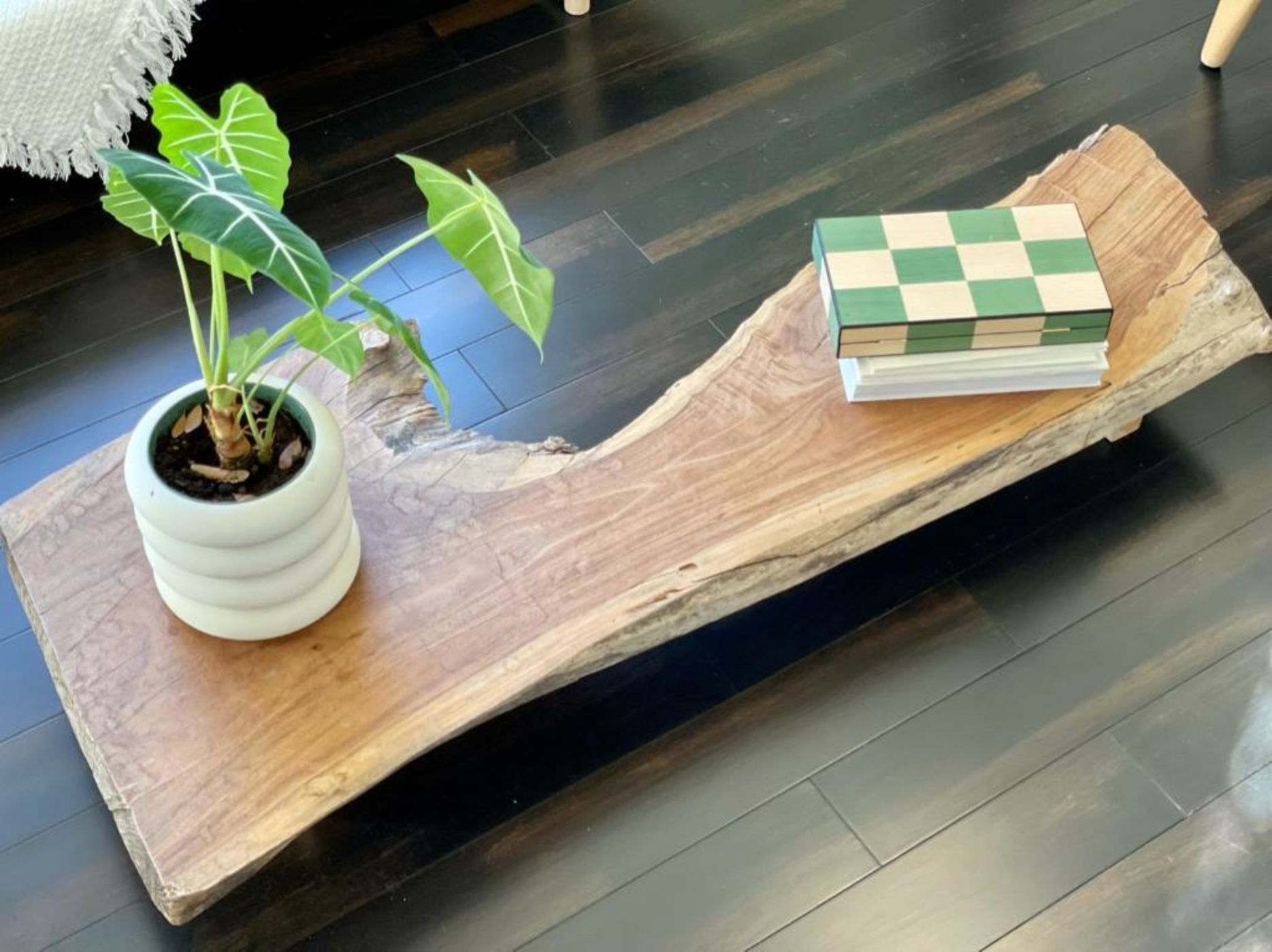 Buenavista Bungalow at Lumicollection