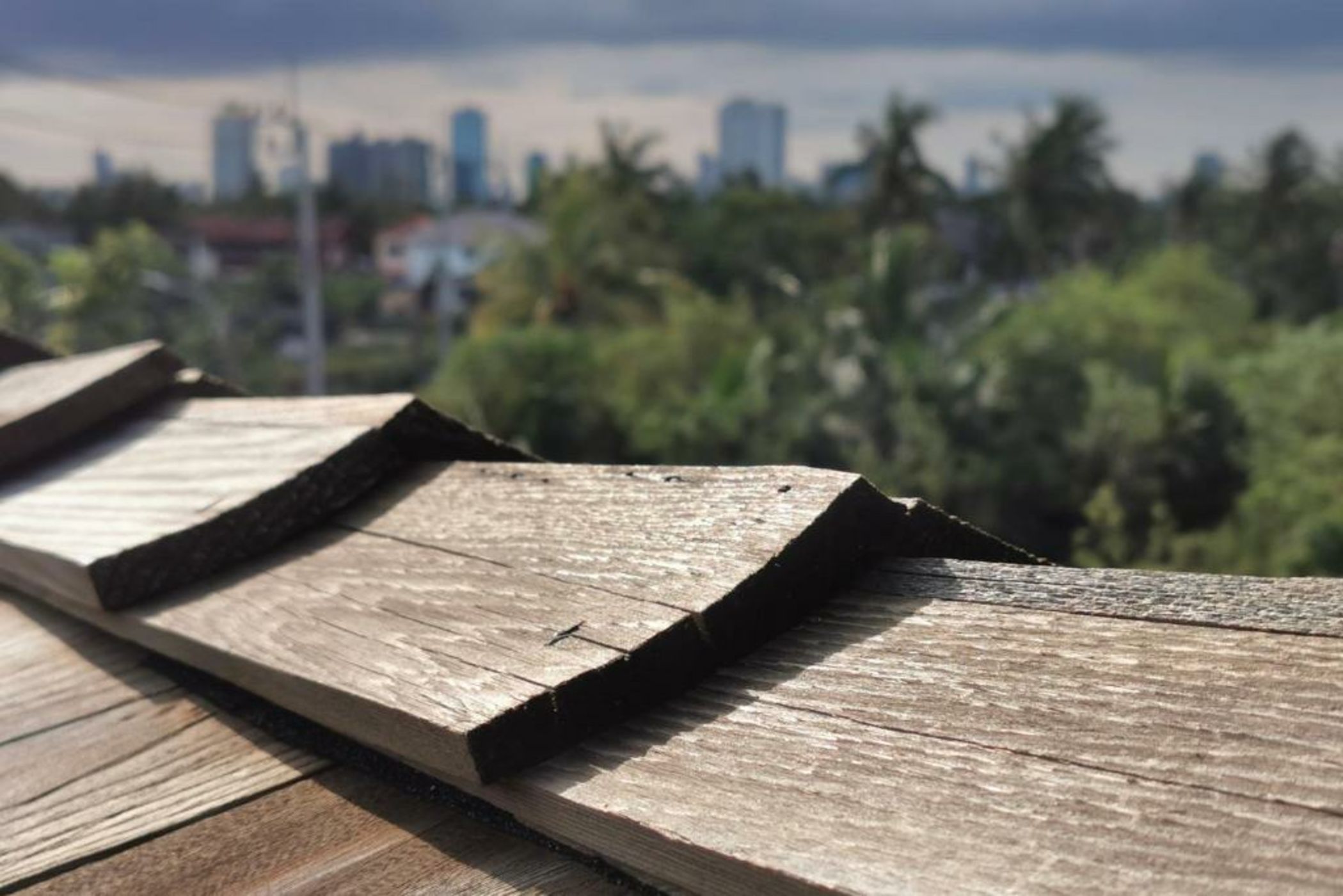 Coconut Lane Bangkok