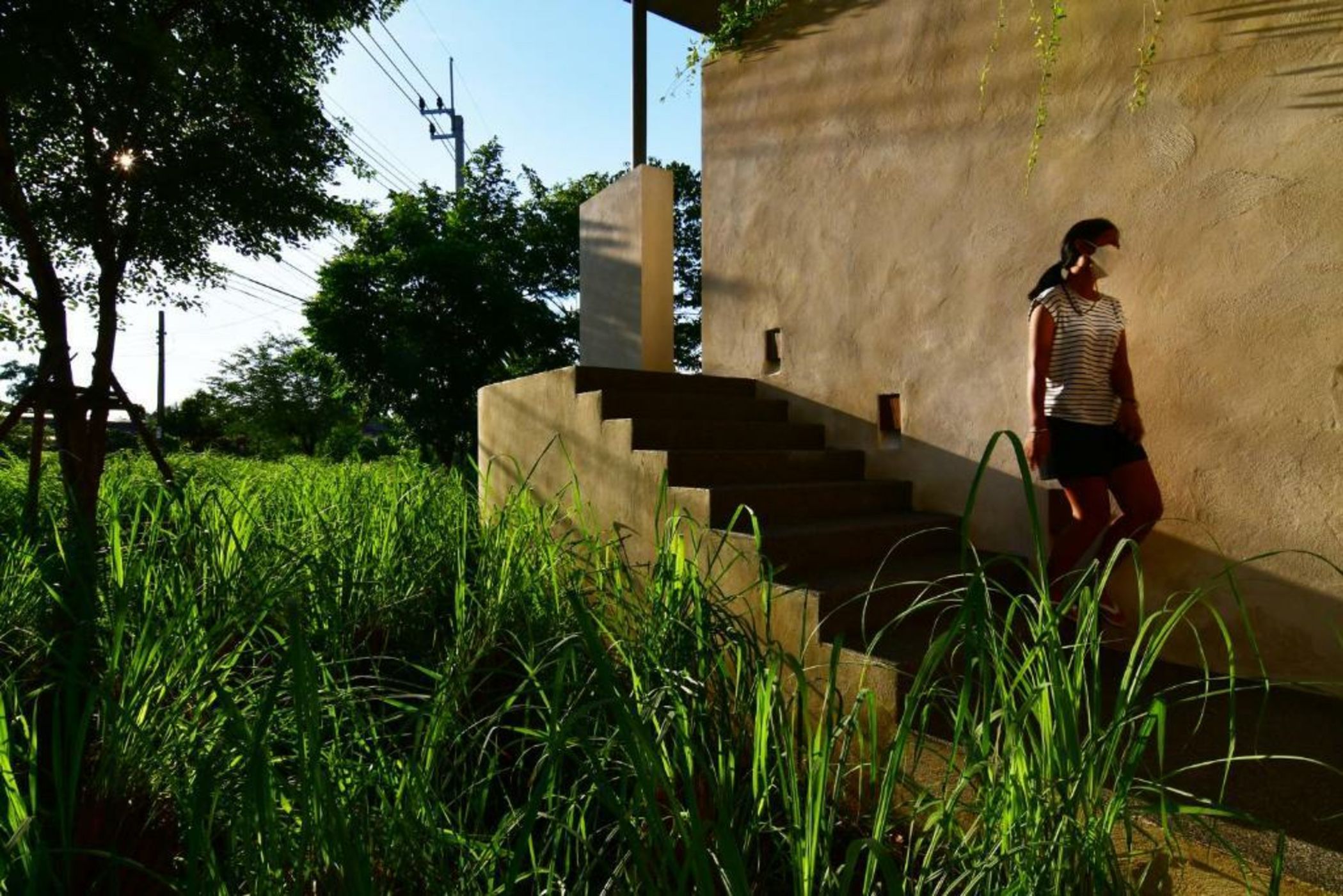 Coconut Lane Bangkok