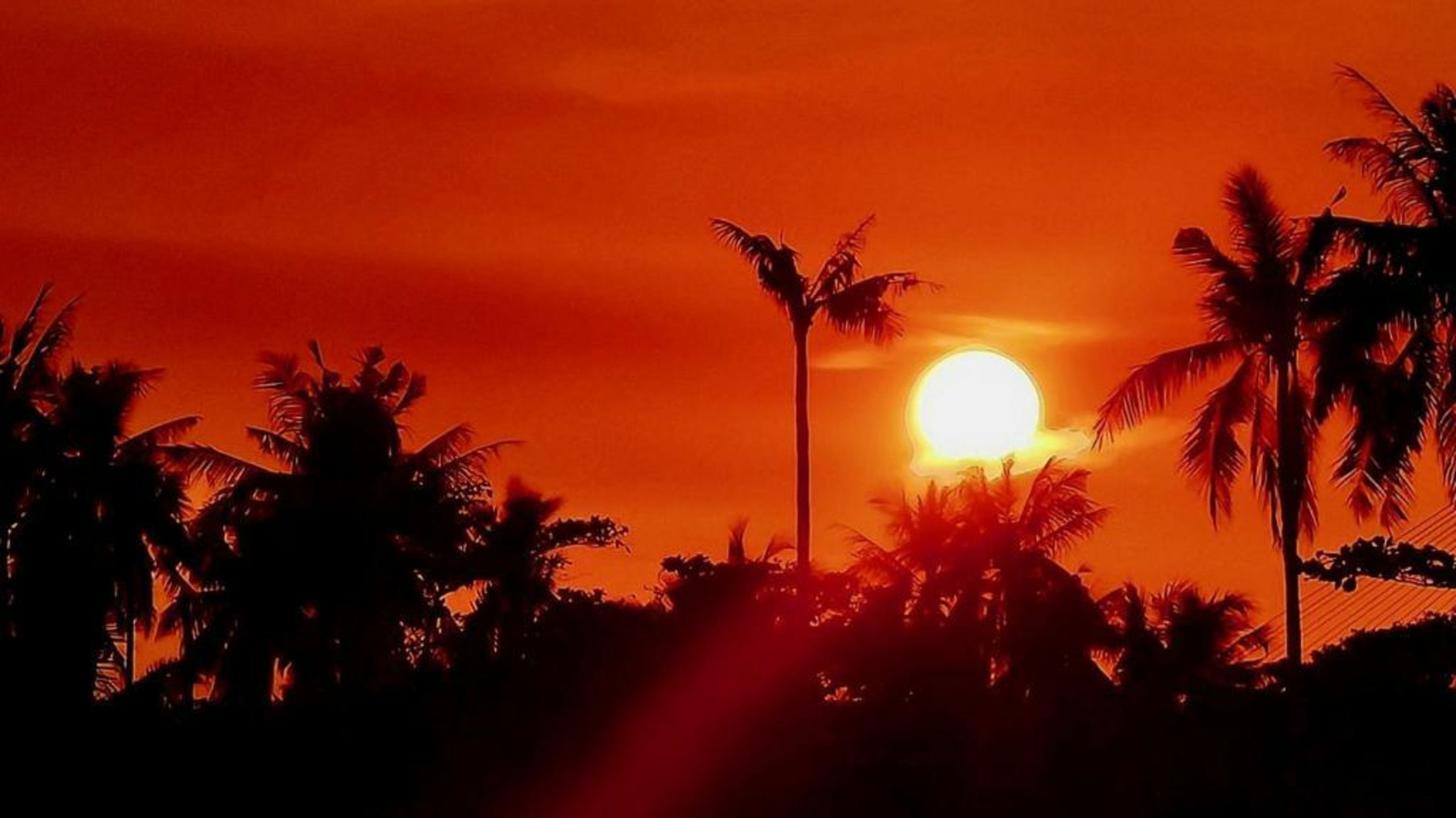 Coconut Lane Bangkok