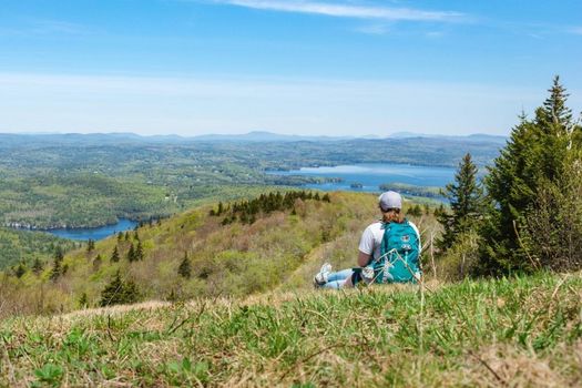 Bluebird Sunapee