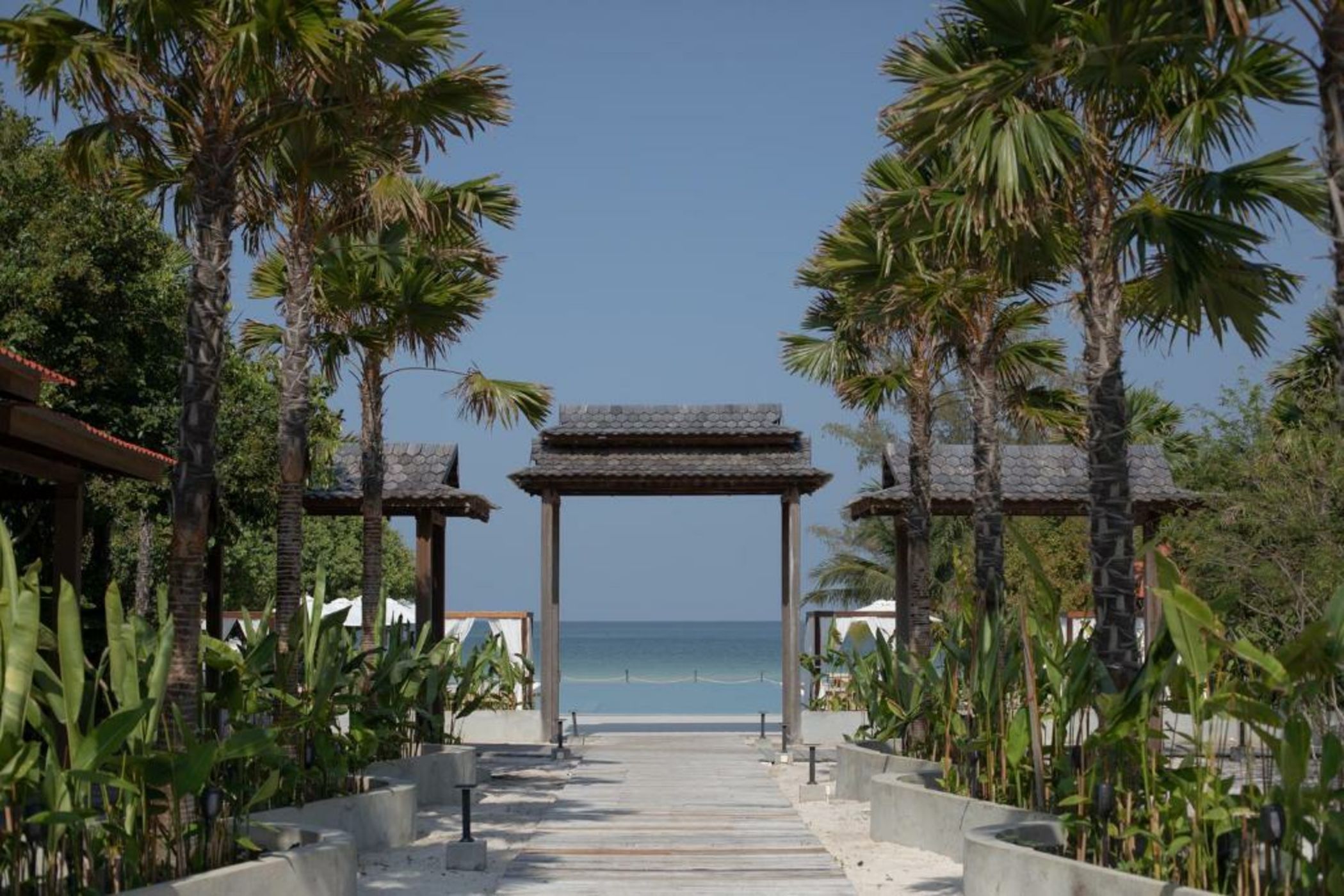 La Passion by Achariyak