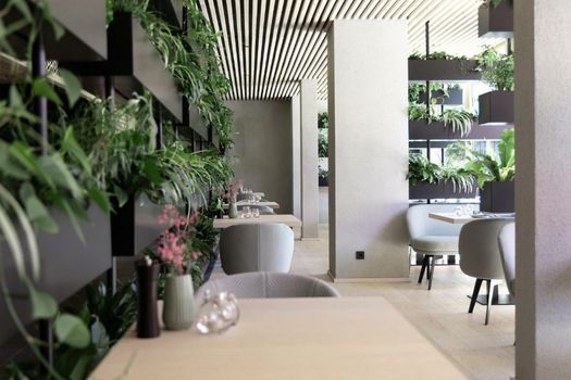 Amrai Suites