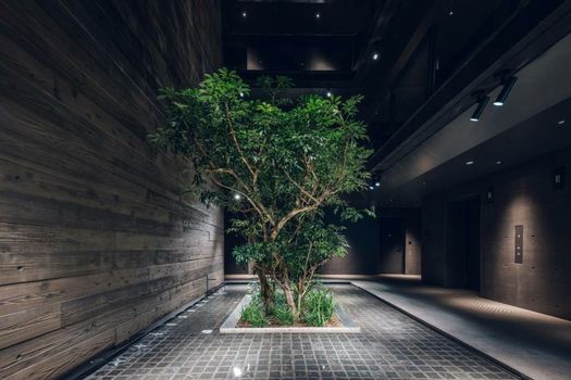 nol kyoto sanjo