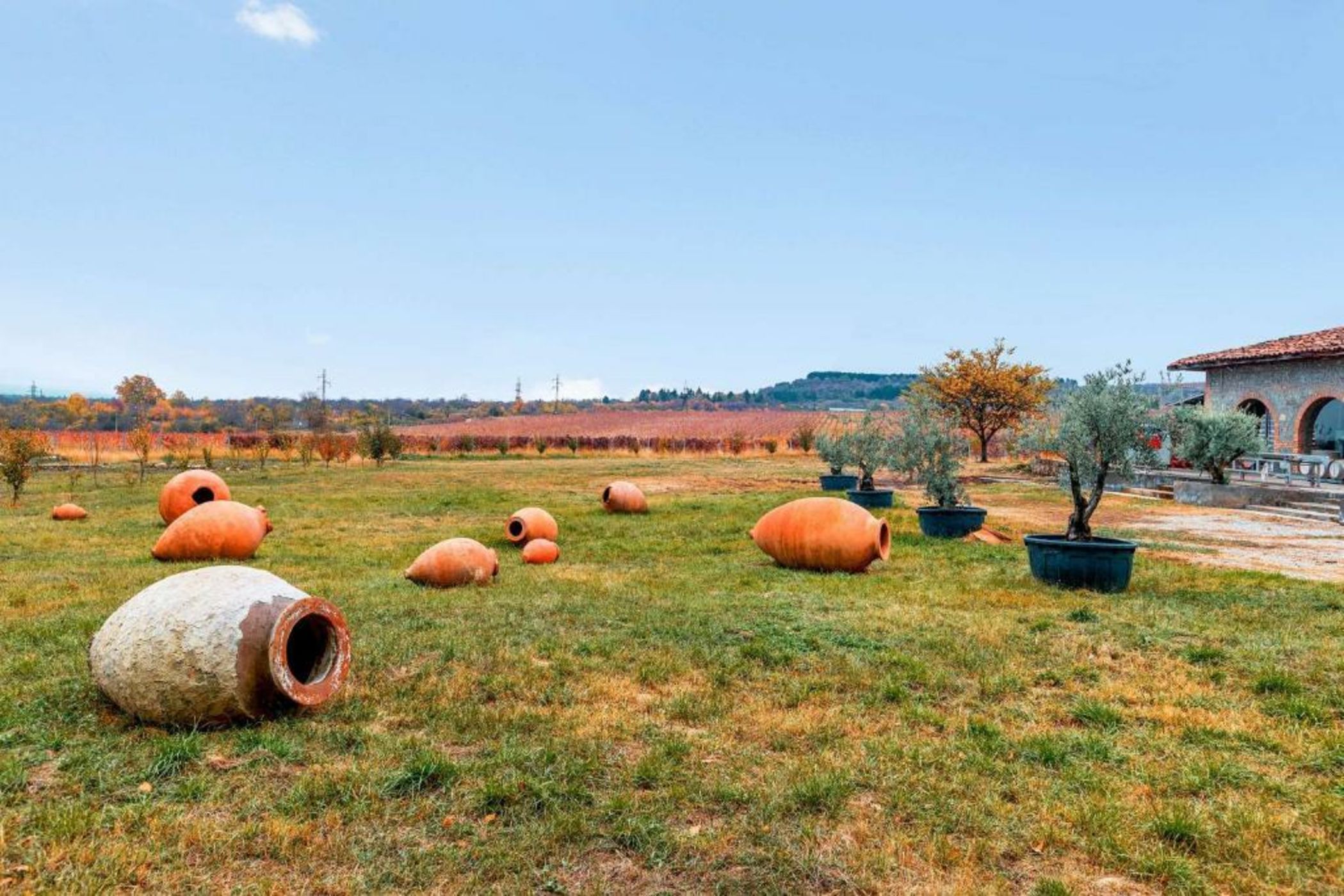 Tsinandali Estate, A Radisson Collection Hotel