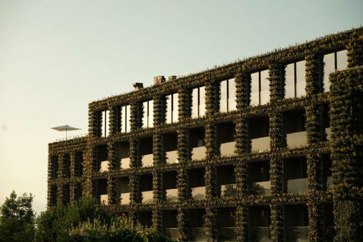 Tsinandali Estate