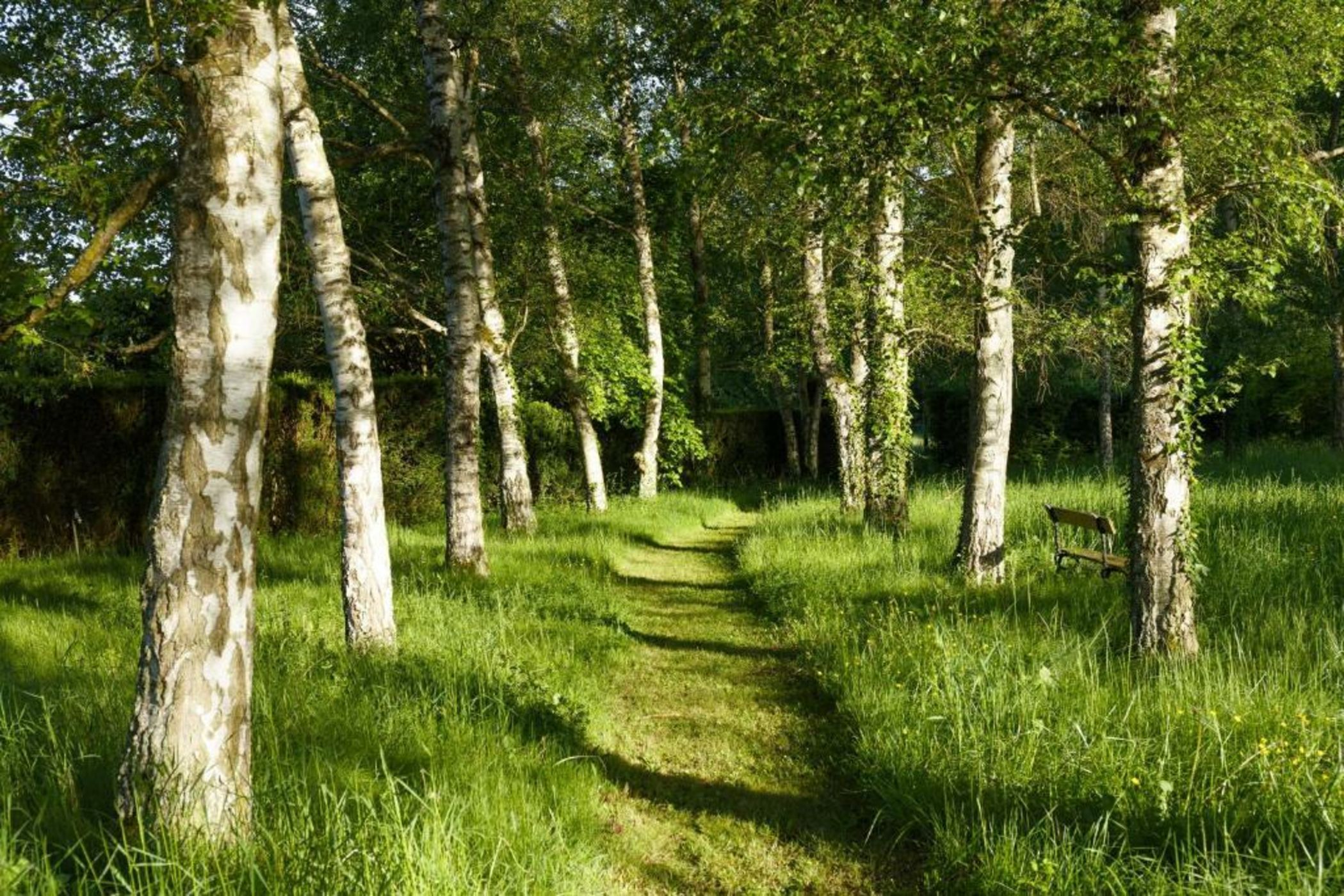 La Marcotte - Pierres d'Histoire