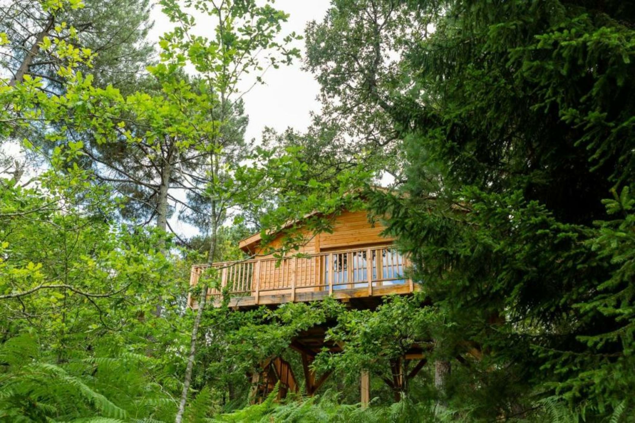 Château Léognan - Bordeaux