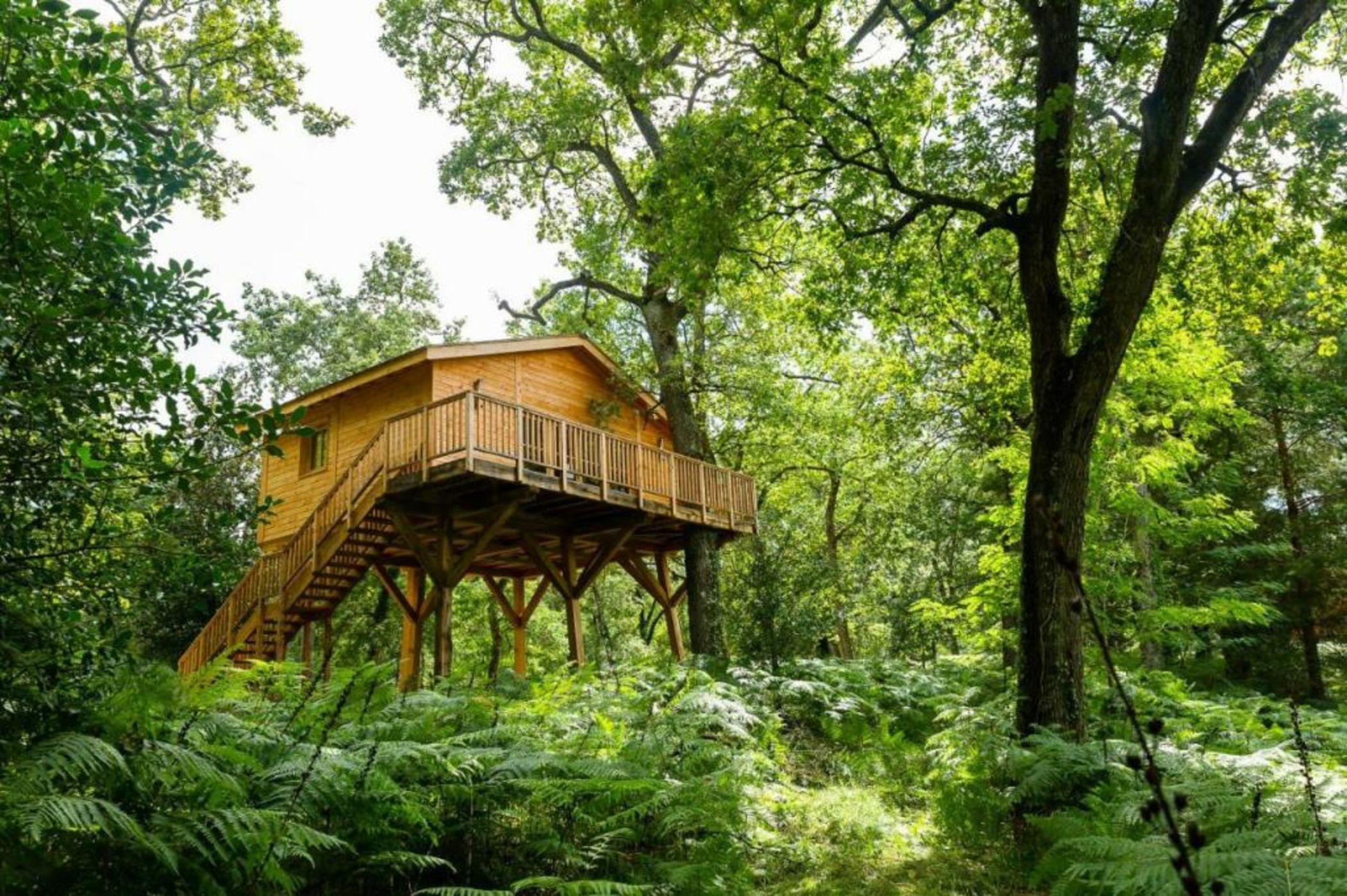 Château Léognan - Bordeaux