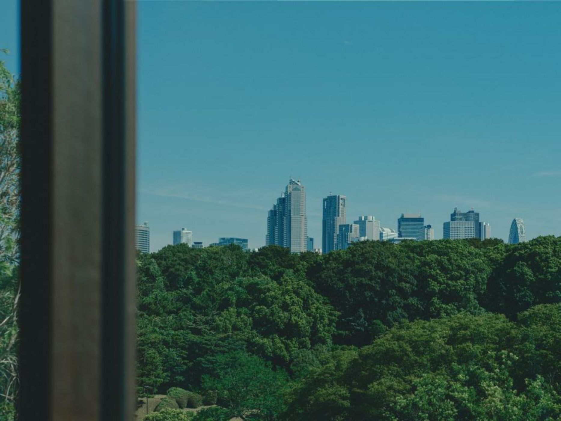 Trunk (Hotel) - Yoyogi Park