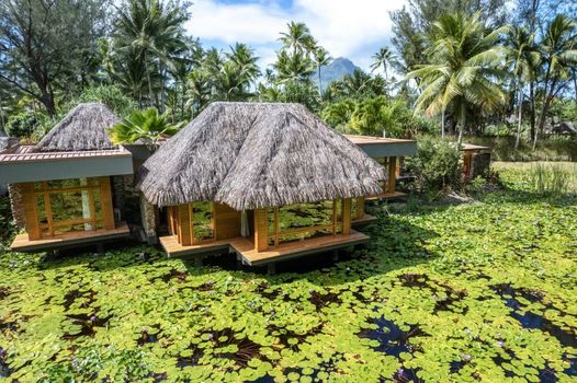 Le Bora Bora by Pearl Resorts