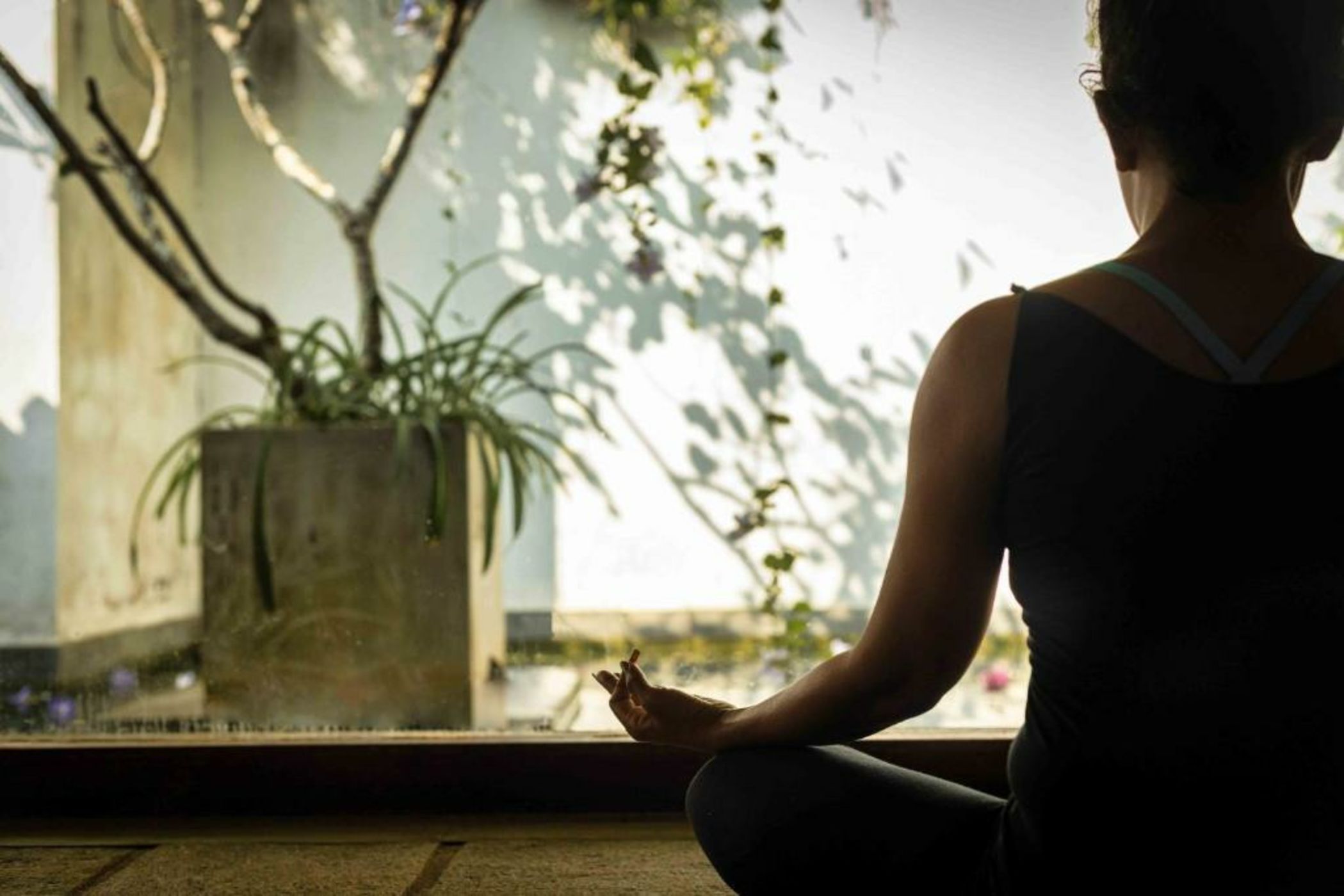 Wattura Resort & Spa