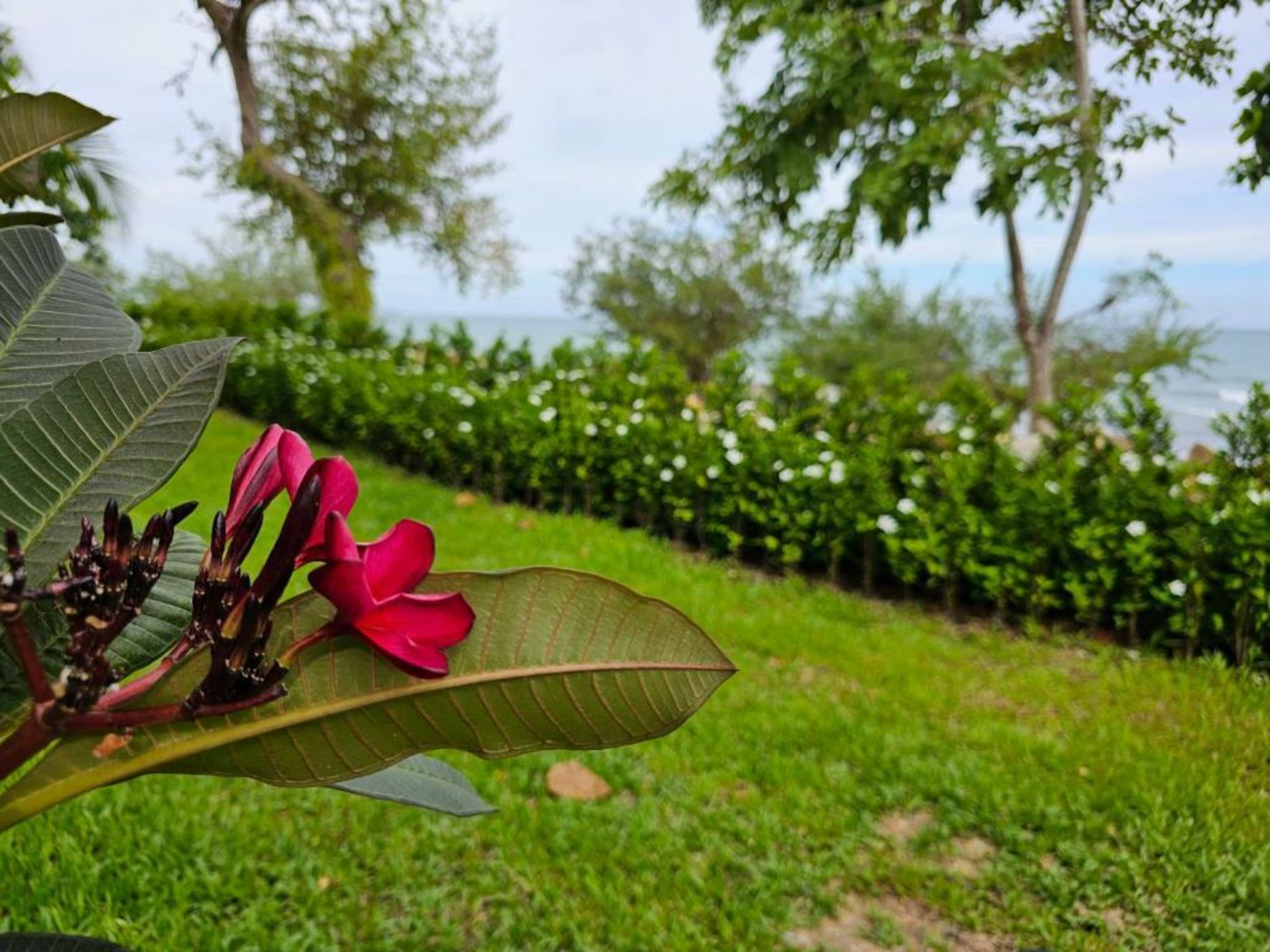 Samed Tamarind Beach Resort