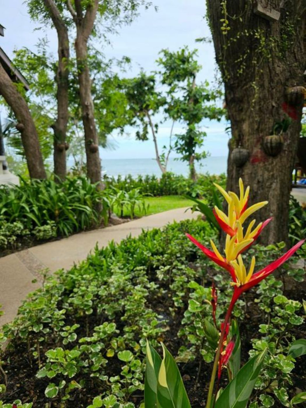 Samed Tamarind Beach Resort