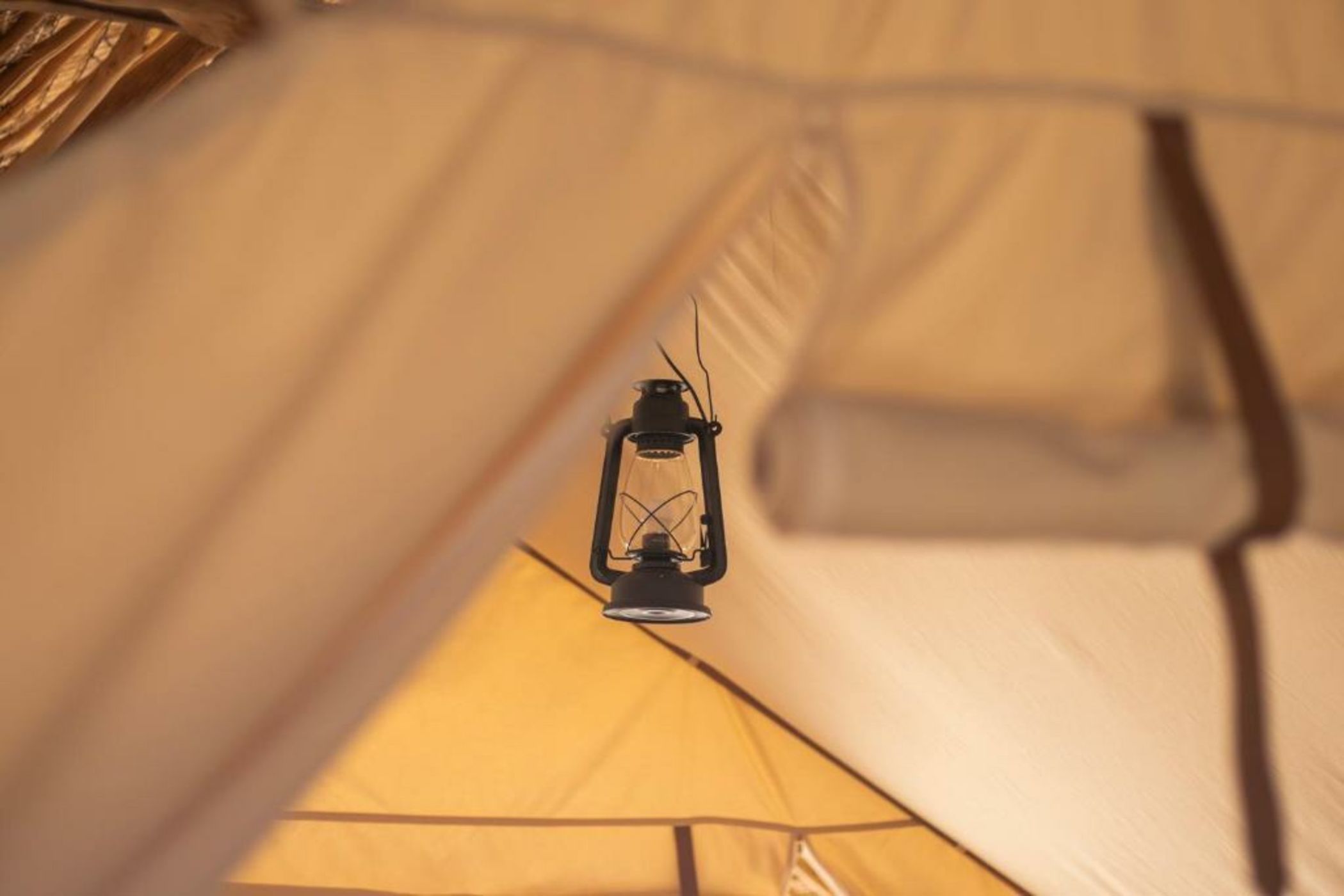 Le Pirate Island - Adults Only