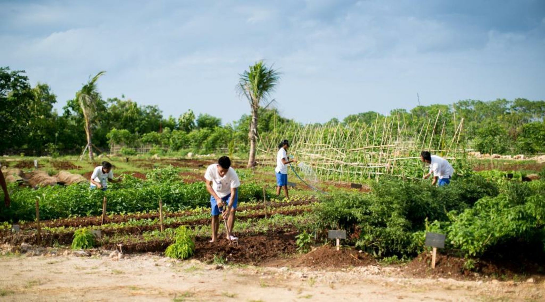 Maringi Sumba by Sumba Hospitality Foundation