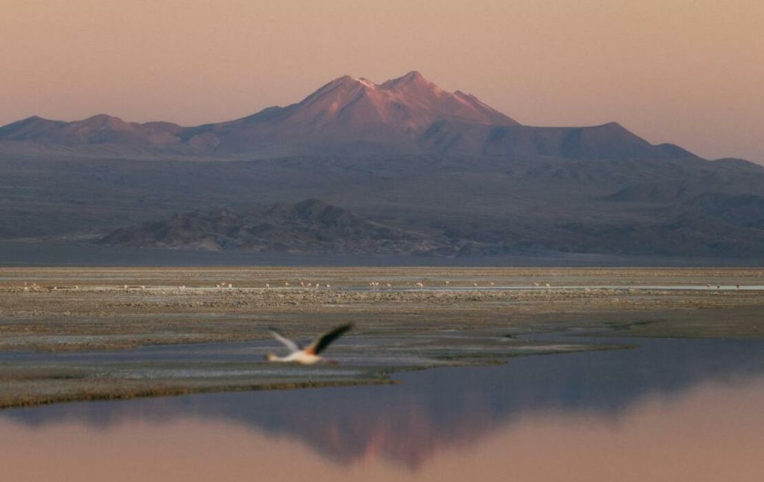 Our Habitas Atacama