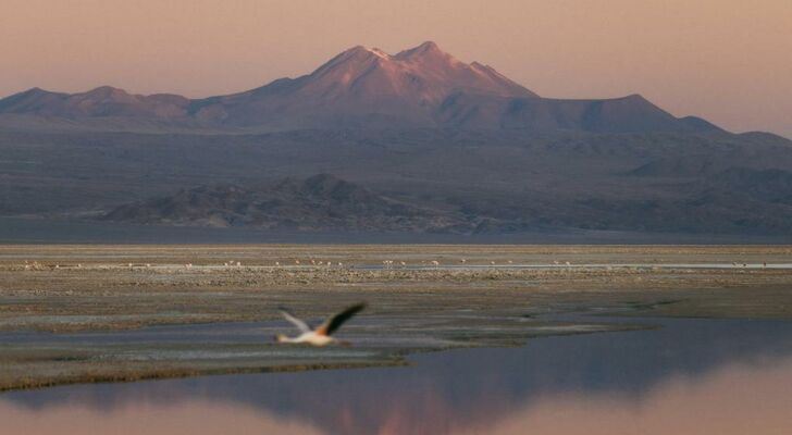 Our Habitas Atacama