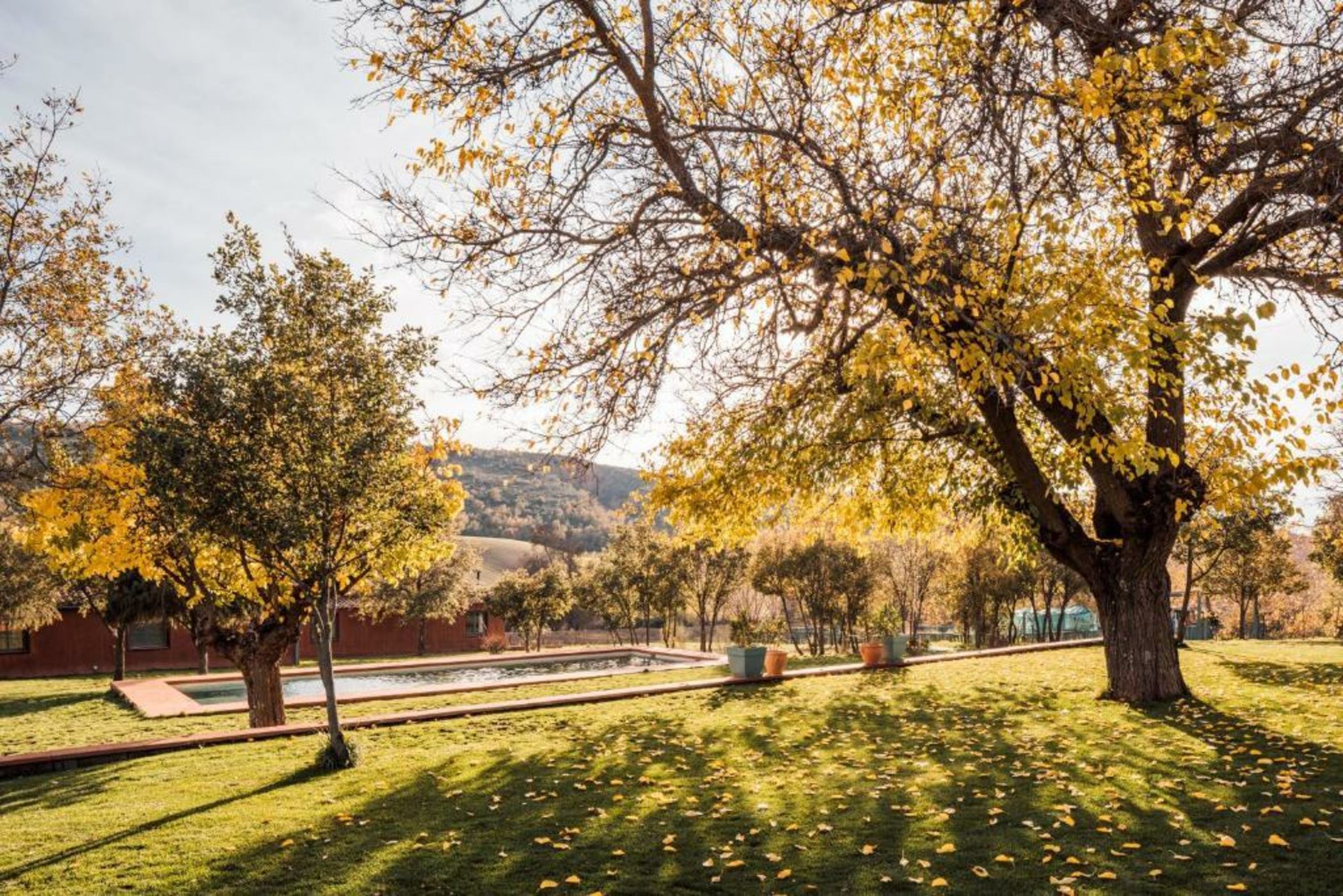 Finca La Cruz de Piedra
