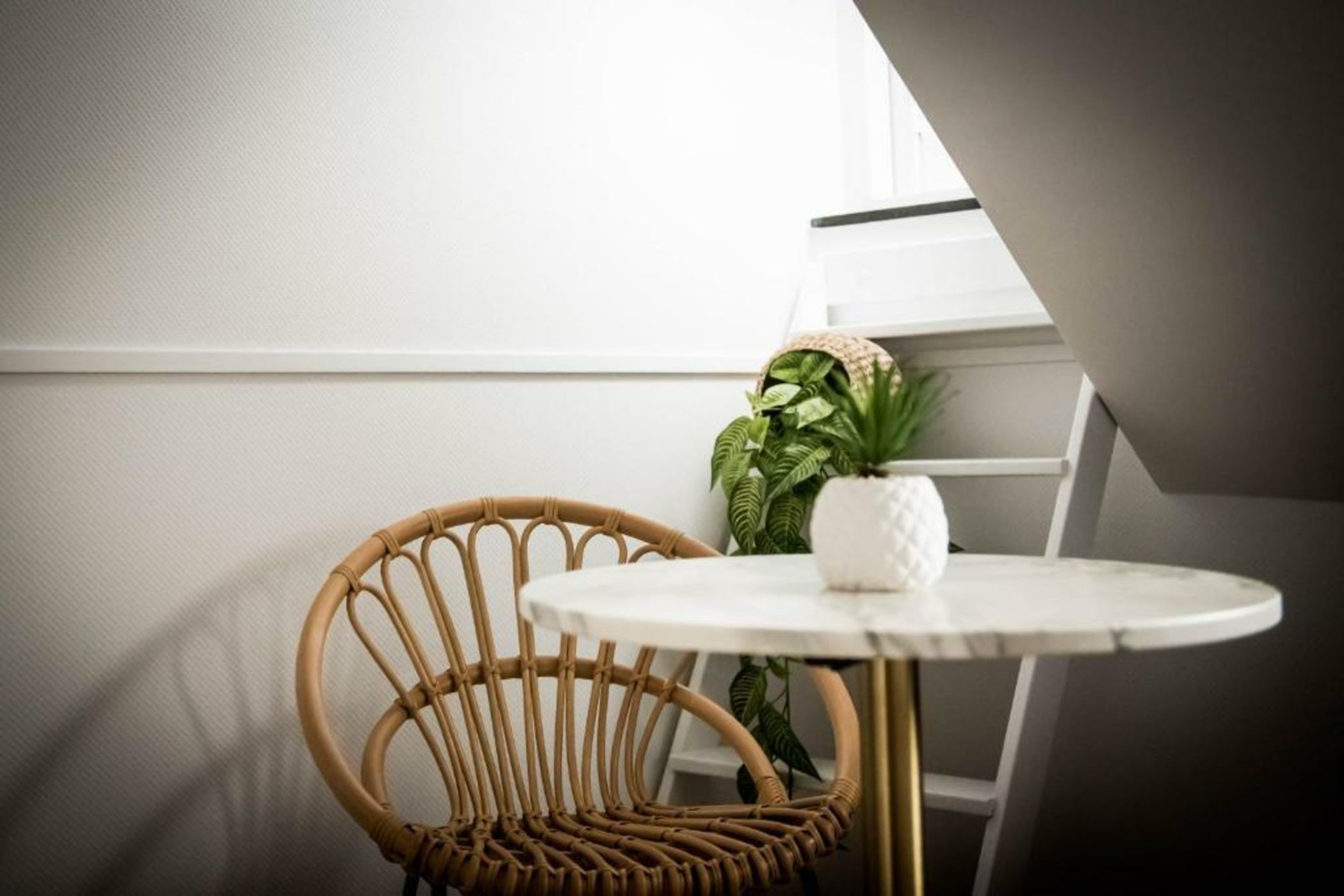 Fitz Roy Urban Hotel, Bar and Garden