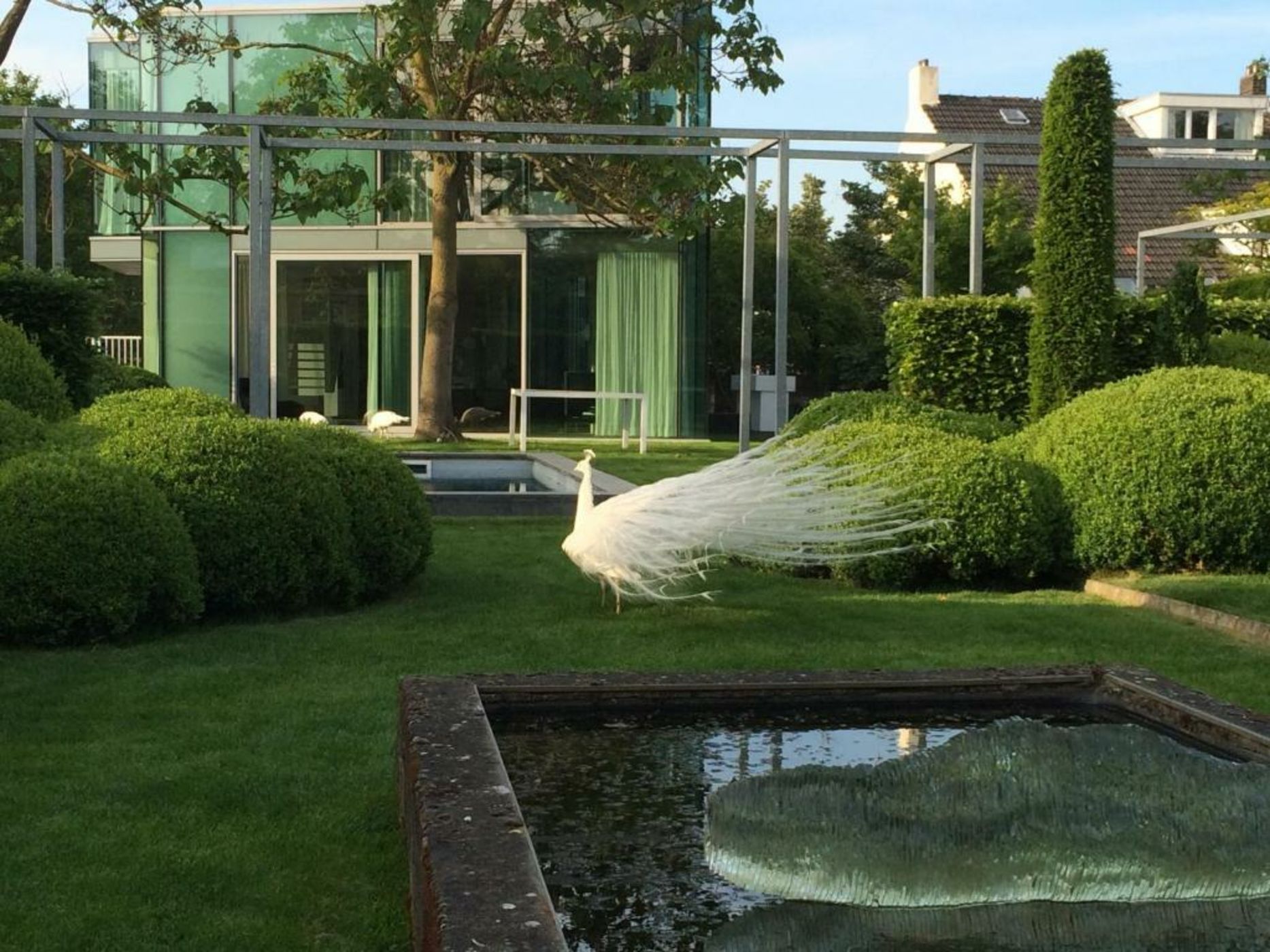 H-House Architectural Residence