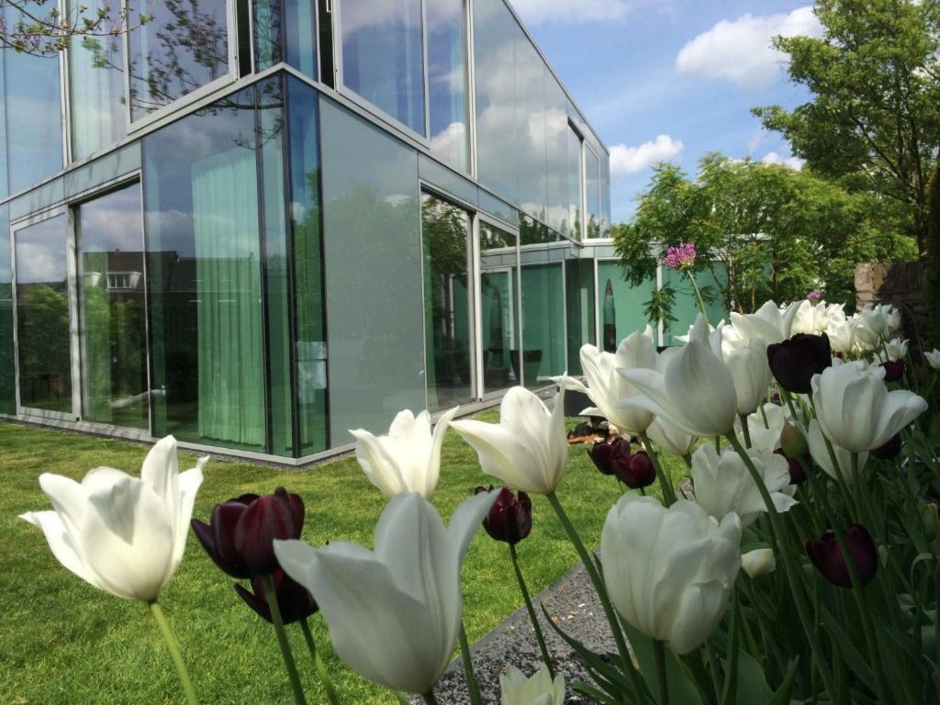 H-House Architectural Residence