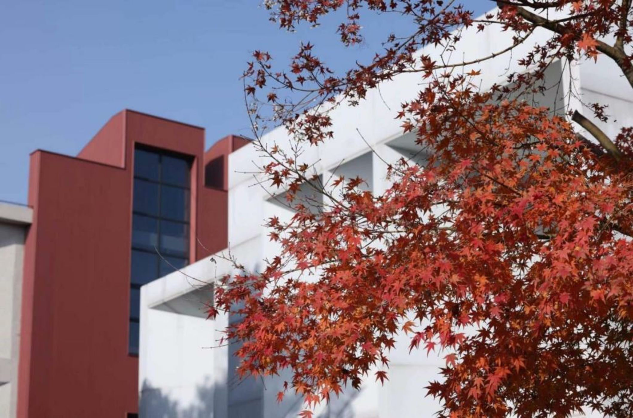 Timeless Boutique House Shanghai