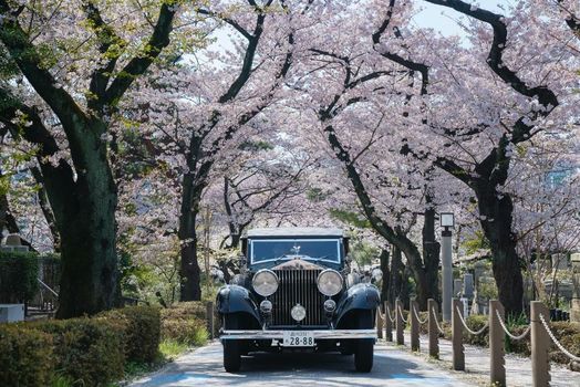 The Peninsula Tokyo