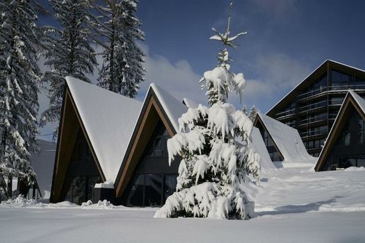 TRIFORÊT alpinresort