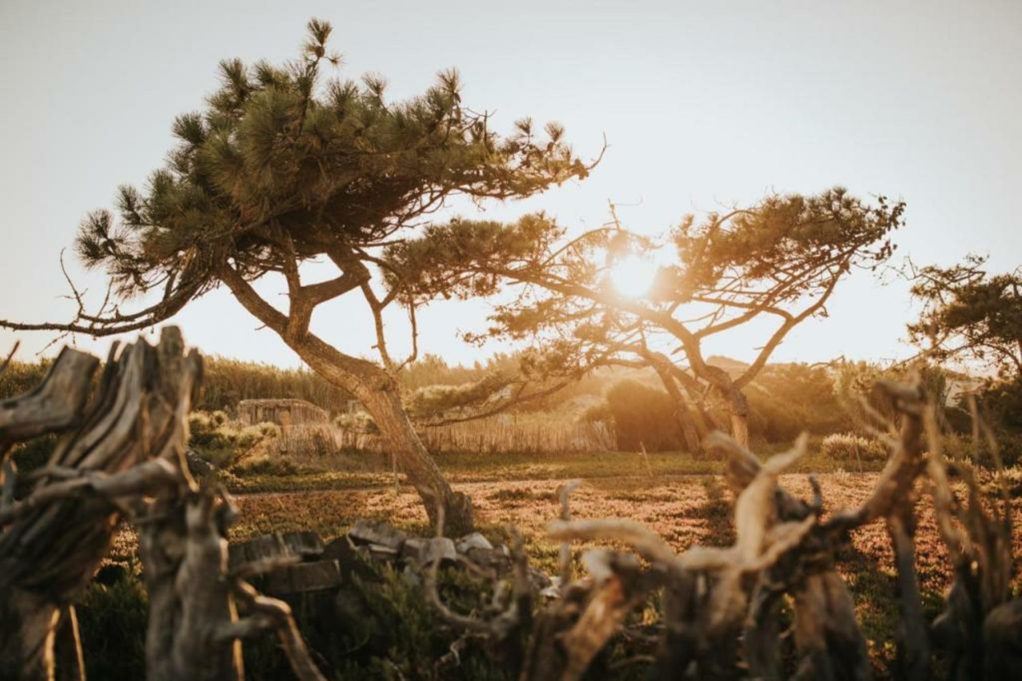 Areias do Seixo Hotel