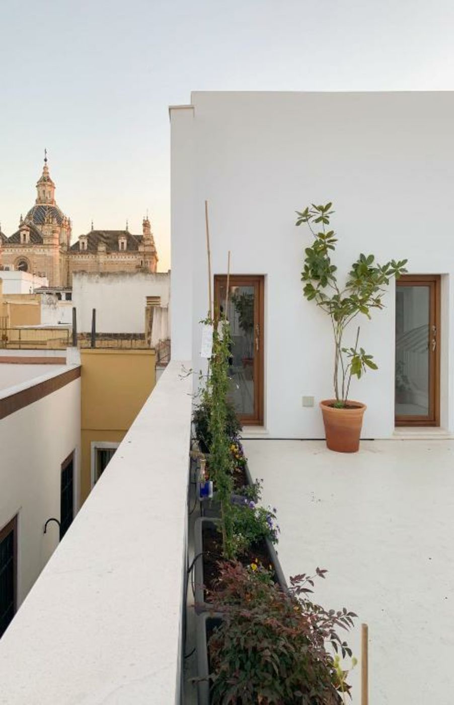 La casa del Lagar 10