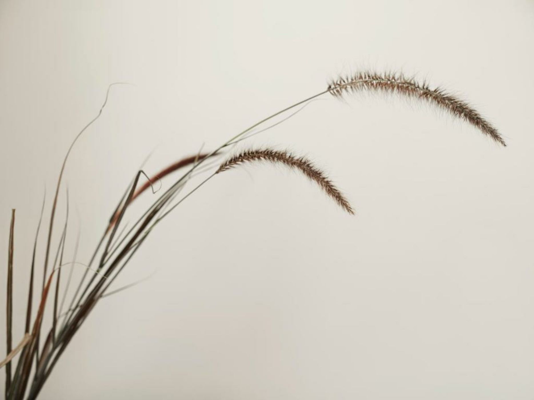 Ezio Bo Luxury Living