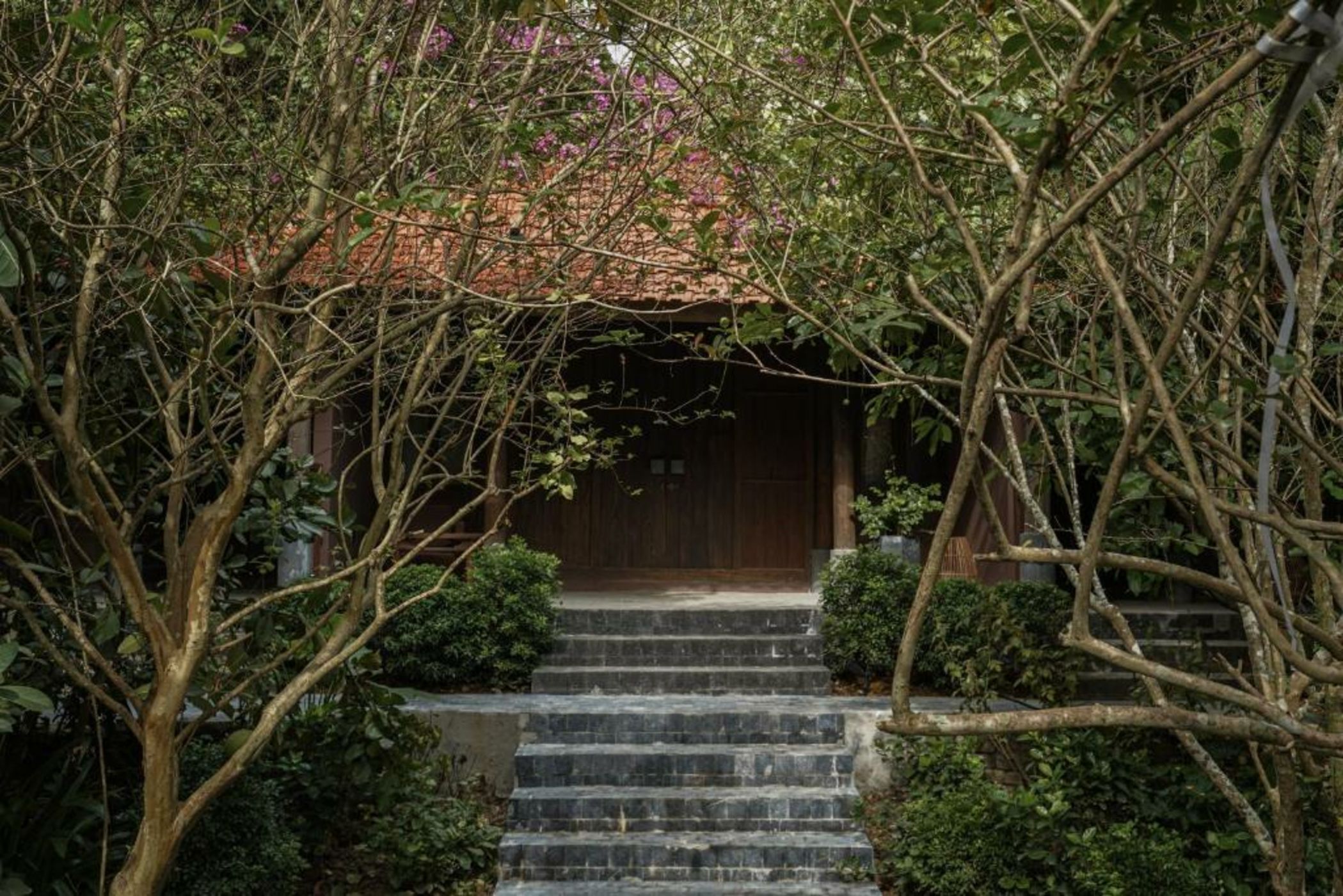 TOKI Retreat Vân Long