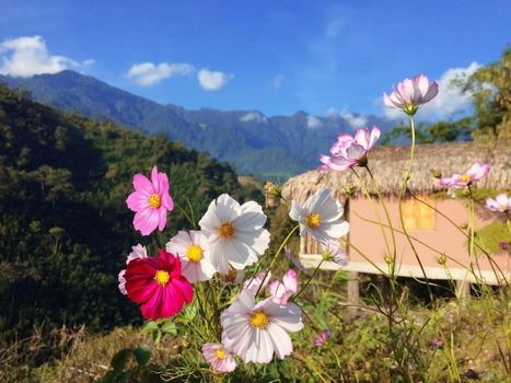 Chapa Farmstay - Mountain Retreat