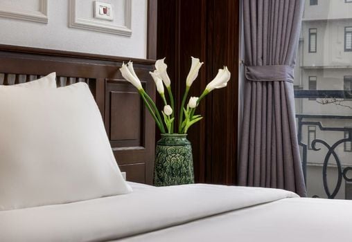 Paddy Hotel