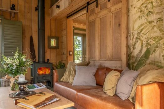 Olive Tree House