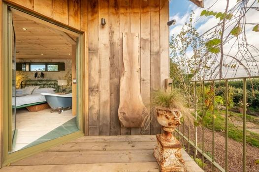 Olive Tree House