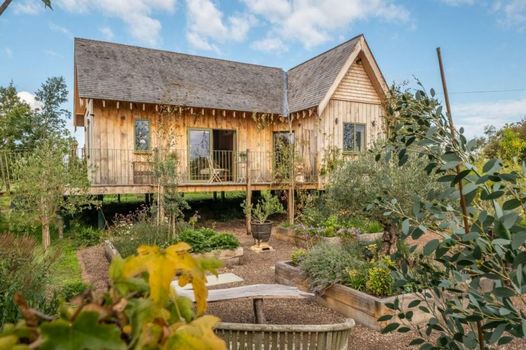 Olive Tree House