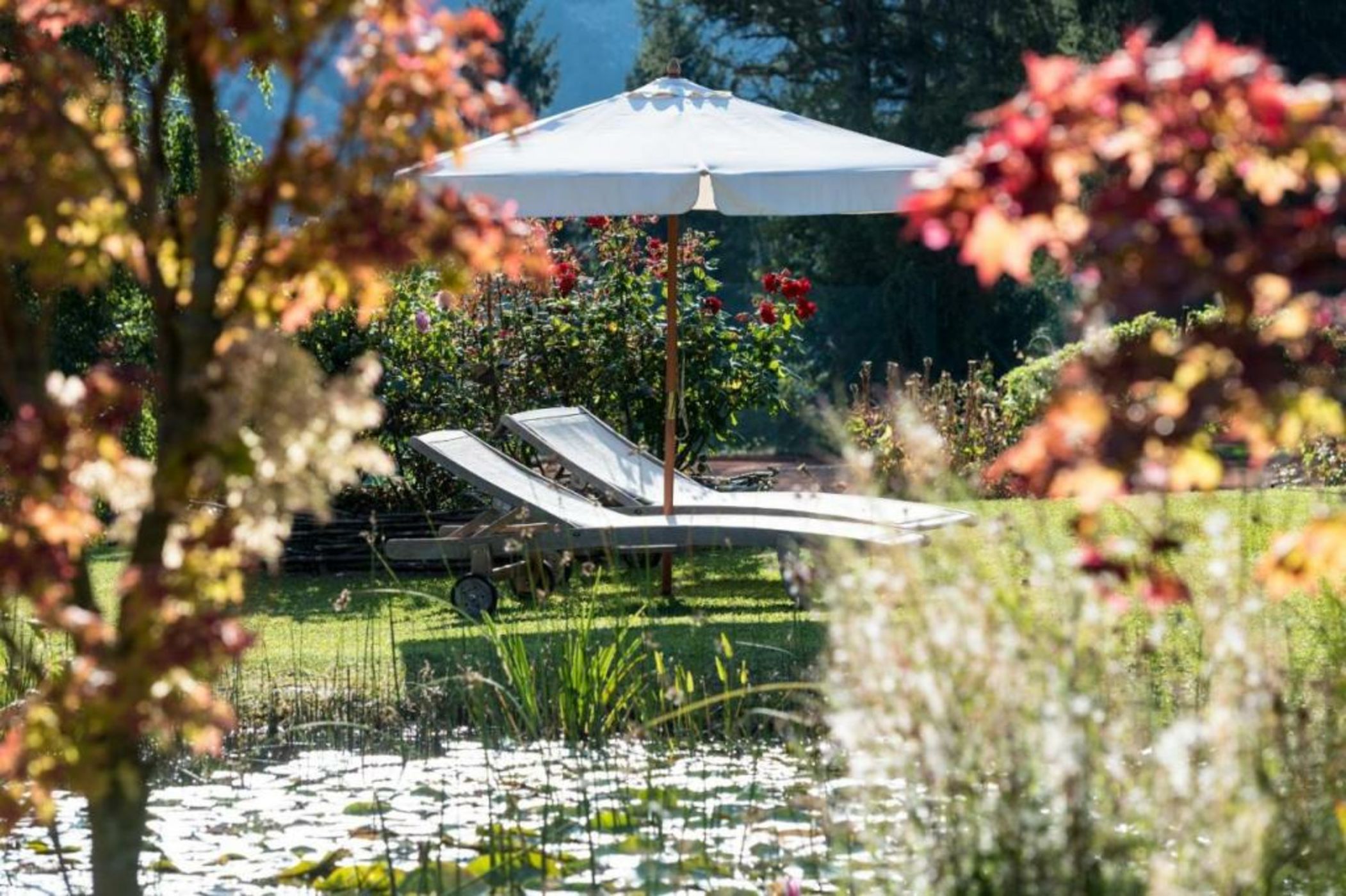 Alp Wellness Sport Hotel Panorama