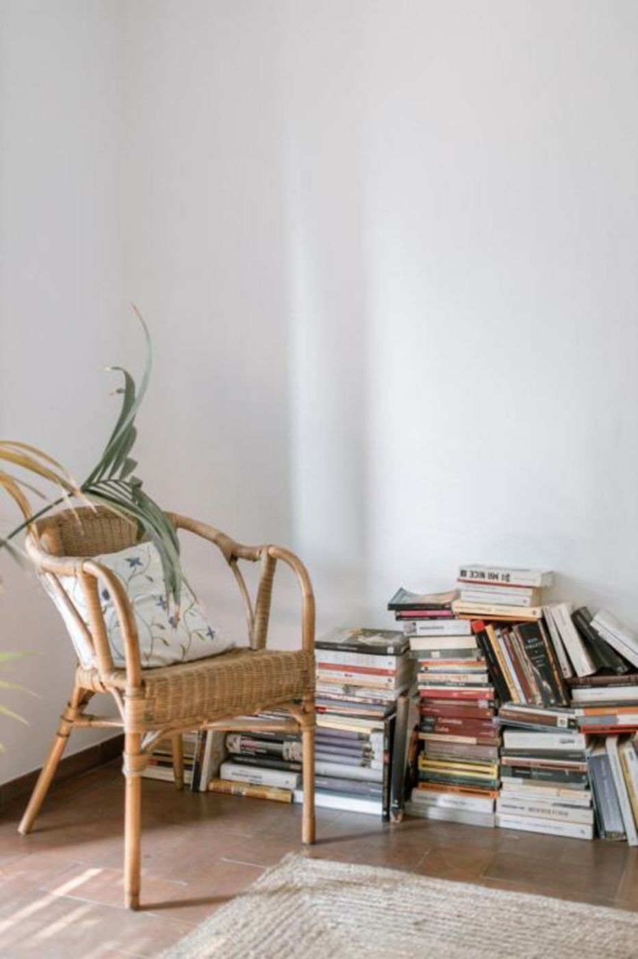 Ecoturisme Mas Ribas