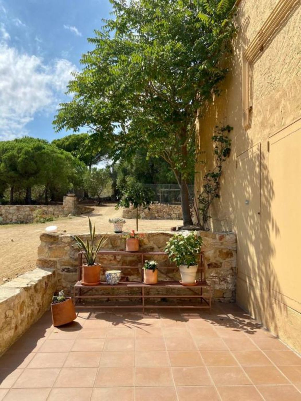 Ecoturisme Mas Ribas