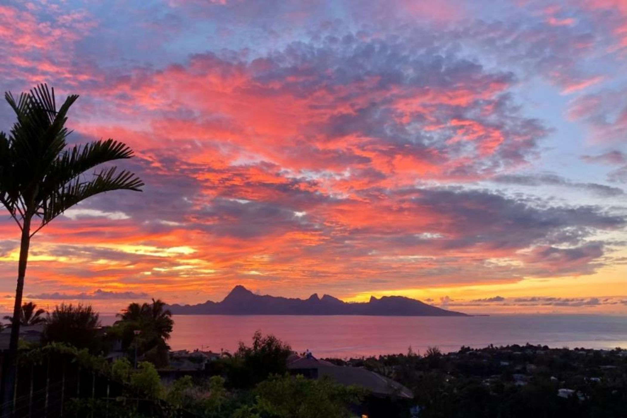 Villa Manuiti, balinese luxury home - private swim SPA, ocean view - OFYR BBQ - KoÏ pond