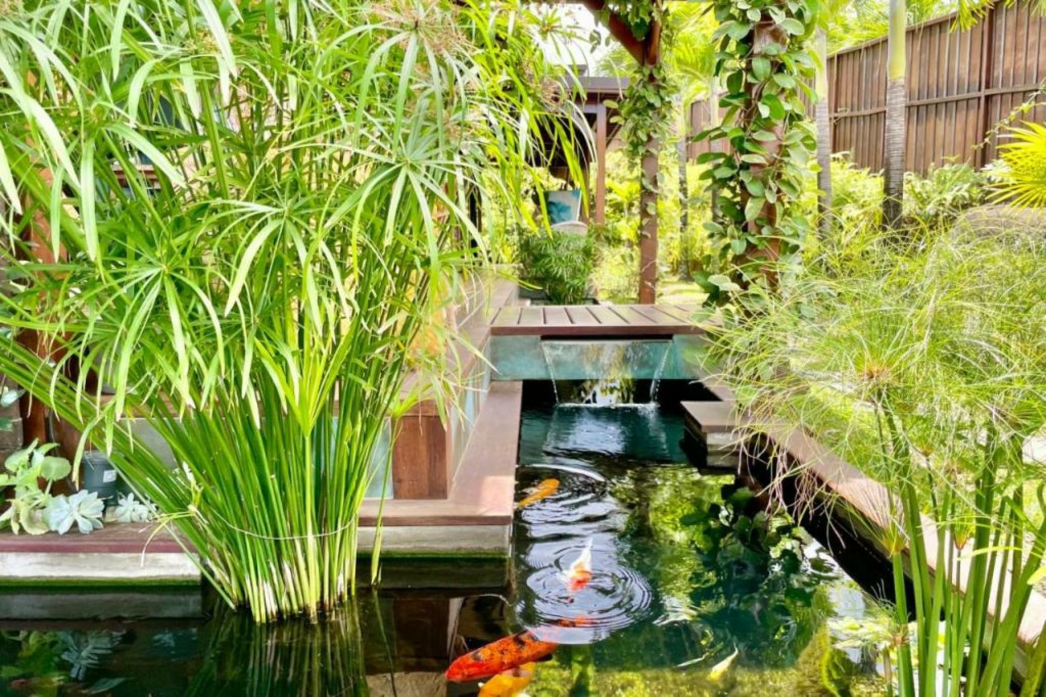 Villa Manuiti, balinese luxury home - private swim SPA, ocean view - OFYR BBQ - KoÏ pond