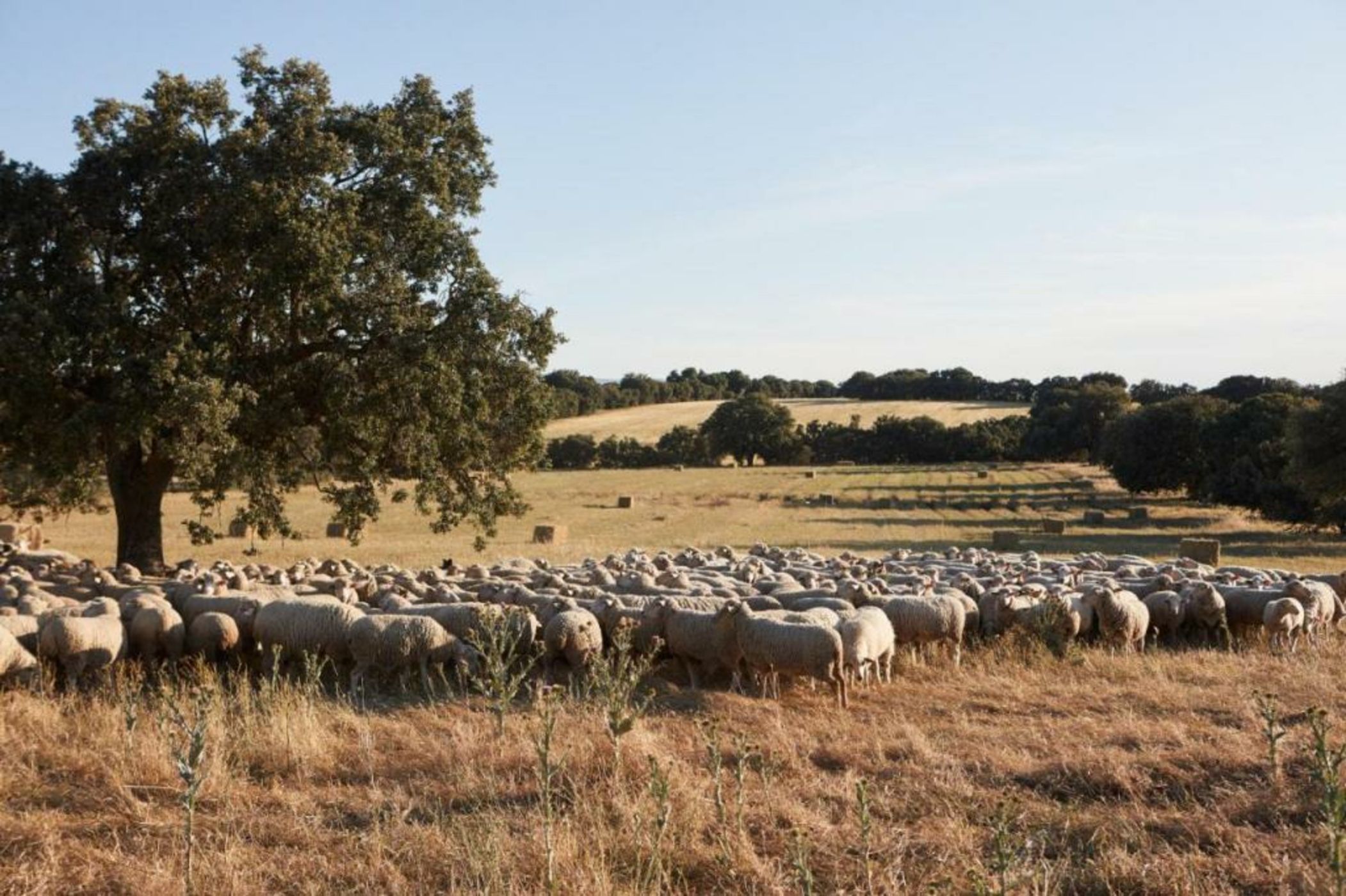 Hotel Caserio Aldeallana