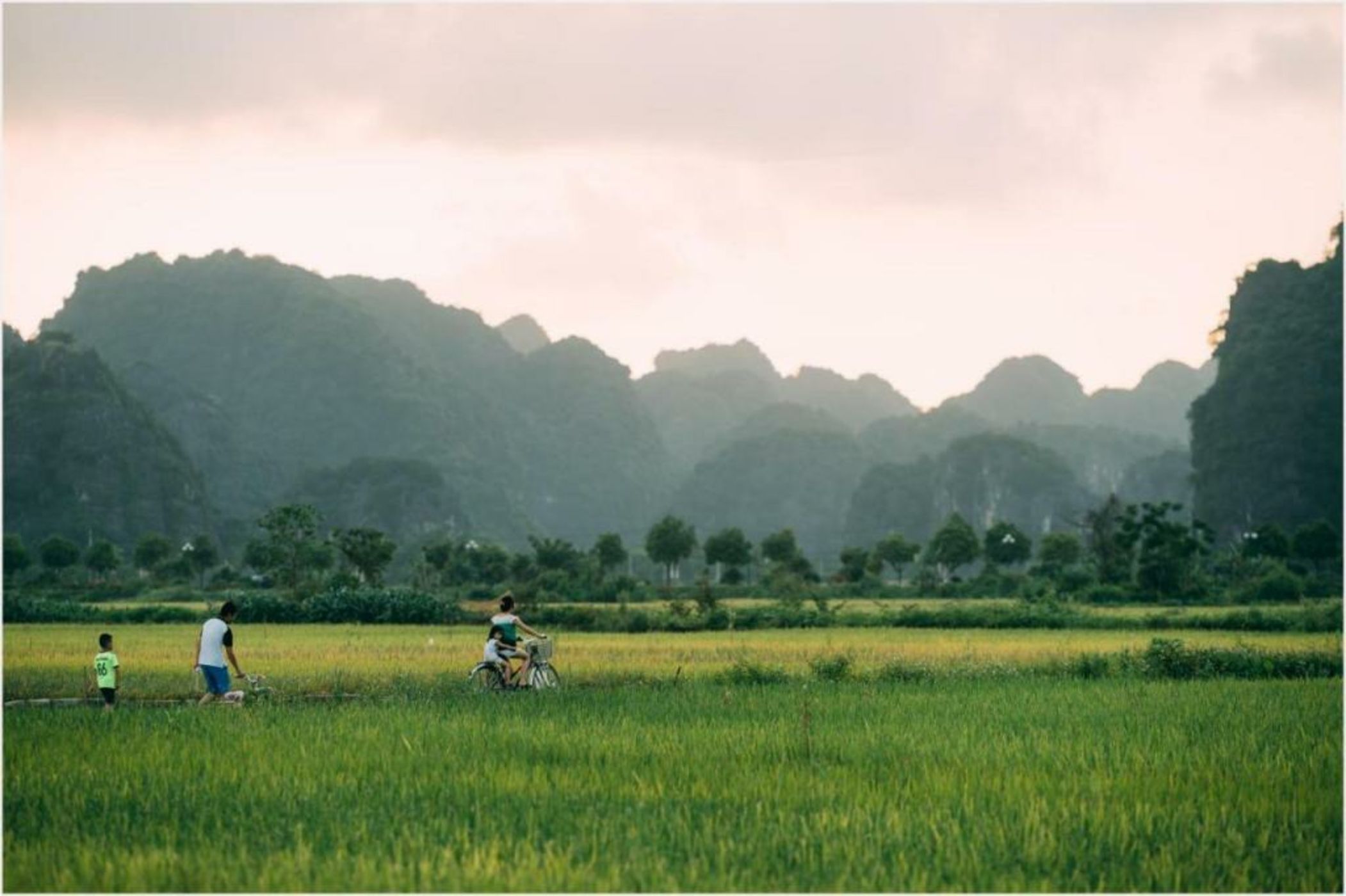 Tam Coc Windy Fields