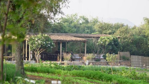 Anopura Jaipur