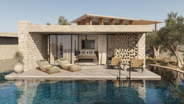 King Jason Zante – Designed for Adults